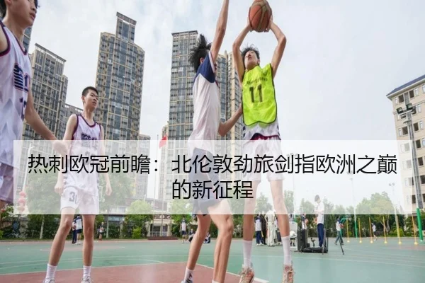 热刺欧冠前瞻：北伦敦劲旅剑指欧洲之巅的新征程